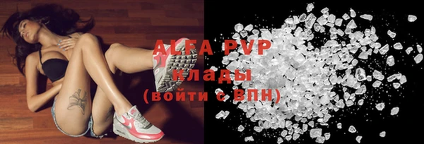 индика Касимов