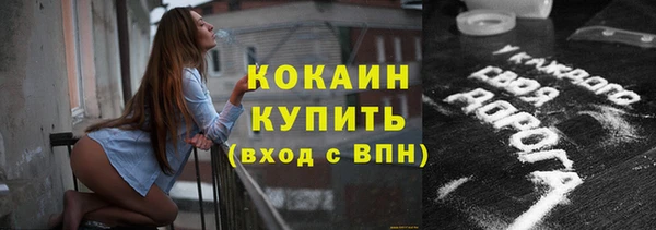 индика Касимов