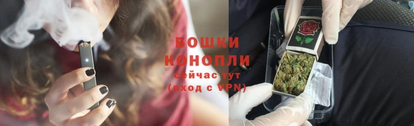 индика Касимов