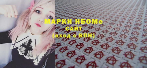 индика Касимов