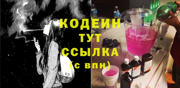 индика Касимов