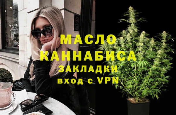 индика Касимов