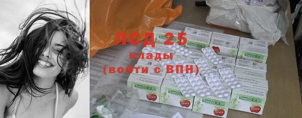 индика Касимов