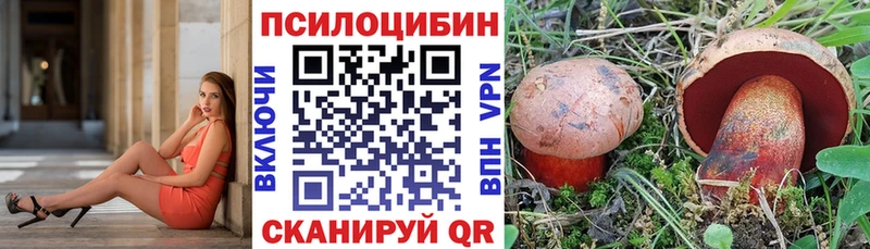 Псилоцибиновые грибы Cubensis  Купить закладки  Беслан 